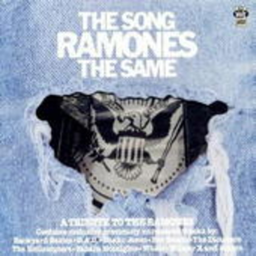 Diverse – The Song Ramones The Same - A Tribute To The Ramones