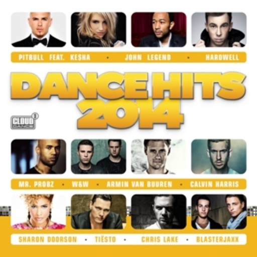 Diverse – Dance Hits 2014