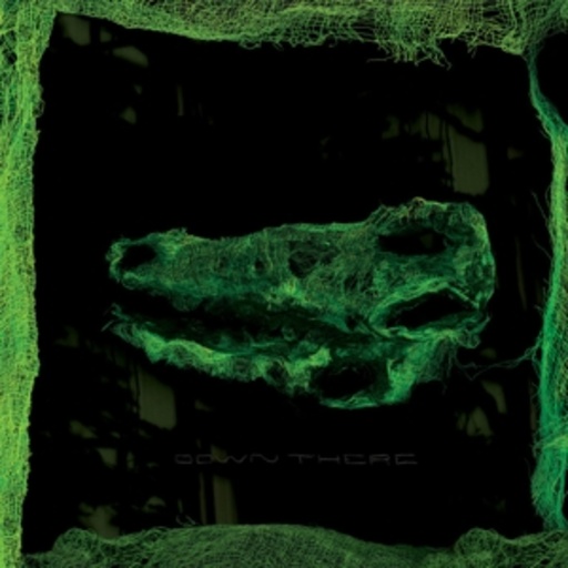 Avey Tare – Down There