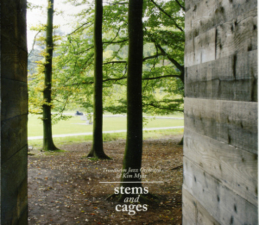 Trondheim Jazz Orchestra & Kim Myhr – Stems And Cages