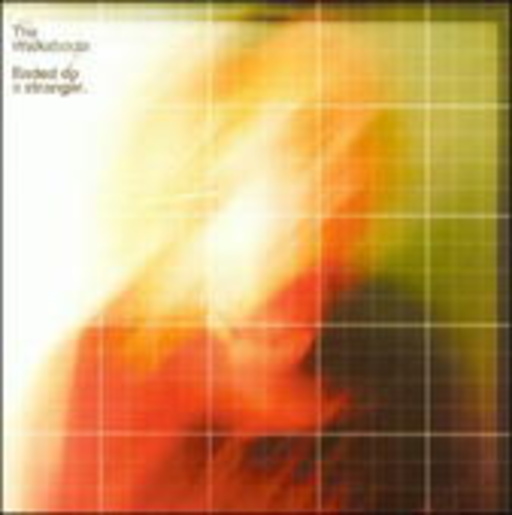 The Walkabouts – Ended Up A Stanger