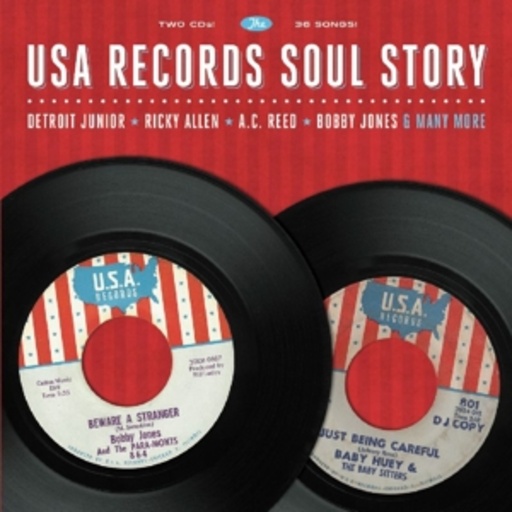 Diverse – USA Records Soul Story