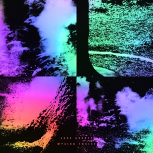 Luke Abbott – Wysing Forest