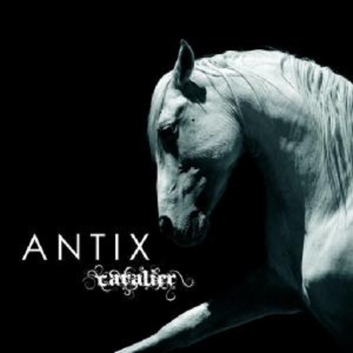 Antix – Cavalier