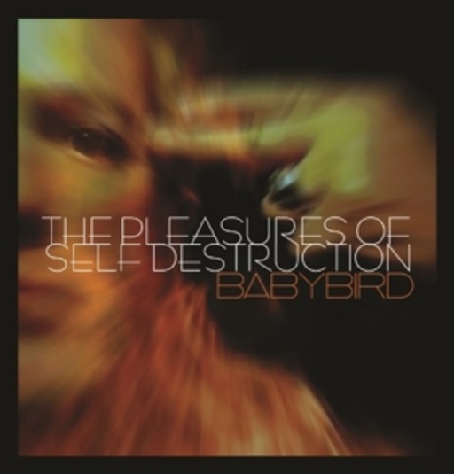 Babybird – The Pleasures Of Self Destruction