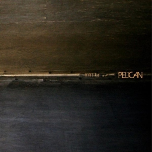 Pelican – Arktika