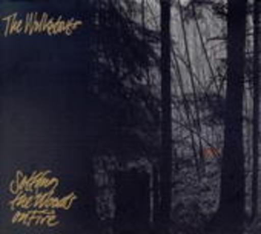 The Walkabouts – Setting The Woods On Fire