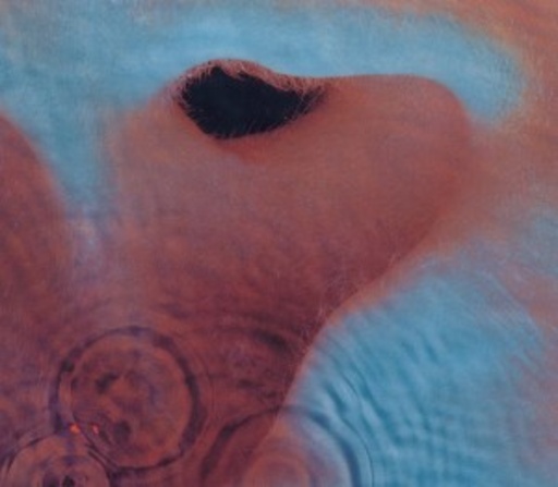 Pink Floyd – Meddle