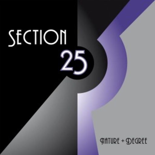 Section 25 – Nature And Degree