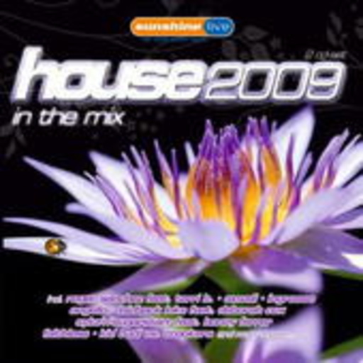 Diverse – House 2009 - In The Mix