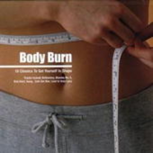 Diverse – Body Burn (Lazee Days)