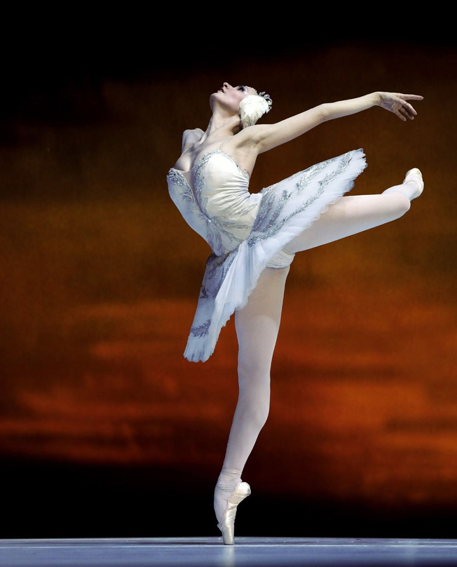 Tanz in Vollendung: Ballerina des Russischen Staatsballetts in "Schwanensee"