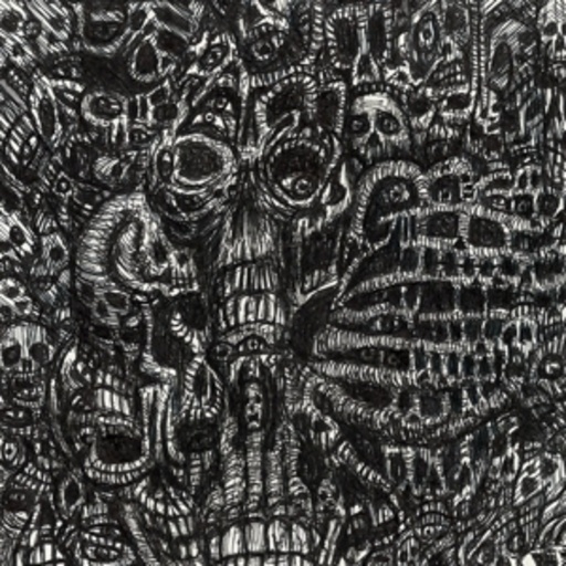 Coltsblood – Into The Unfathomable Abyss