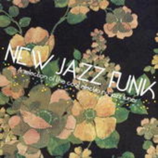 Diverse – New Jazz Funk
