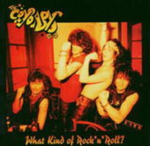 The Crybabys – What Kind Of Rock'n'Roll - The Anthology