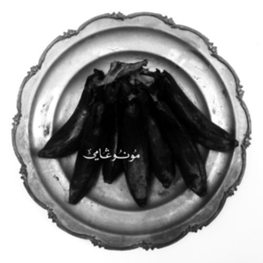 Land Of Kushs Egyptian Light Orchestra – Monogamy