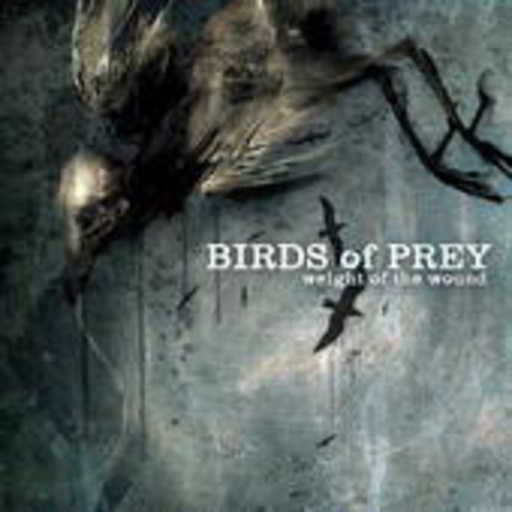 Birds Of Prey – Weight Of The Wound
