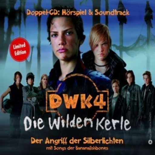 Die wilden Kerle 4