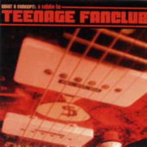 Diverse – What A Concept - Teenage Fanclub
