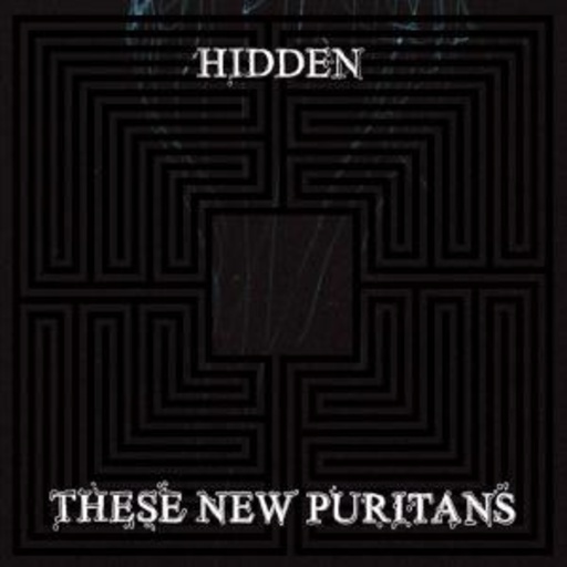 These New Puritans – Hidden