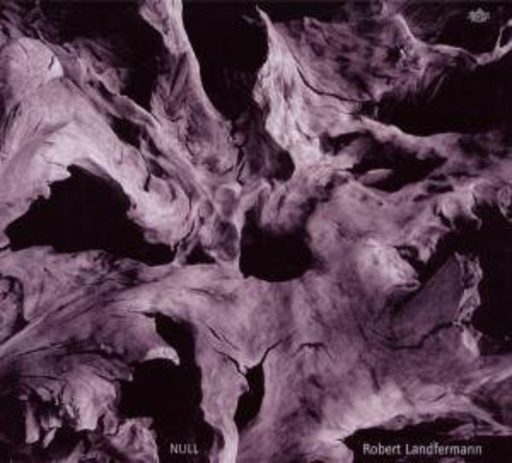 Robert Landfermann – Null