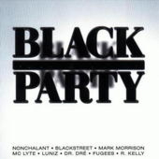 Diverse – Black Millennium Party