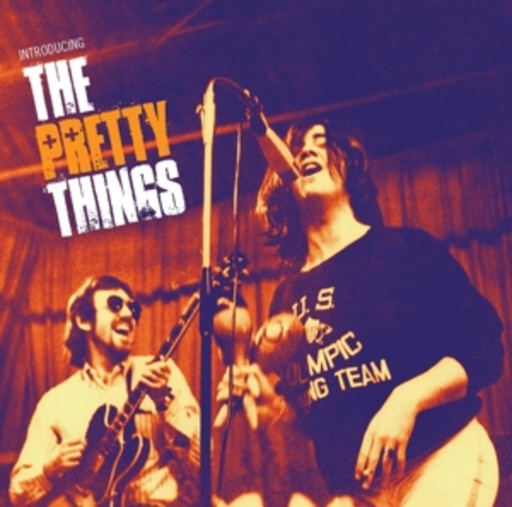 The Pretty Things – Introducing