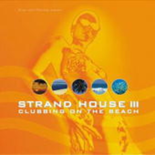 Diverse – Strand House III - Clubbing On The Beach