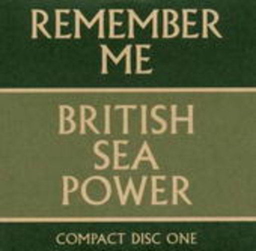 British Sea Power – Remember Me