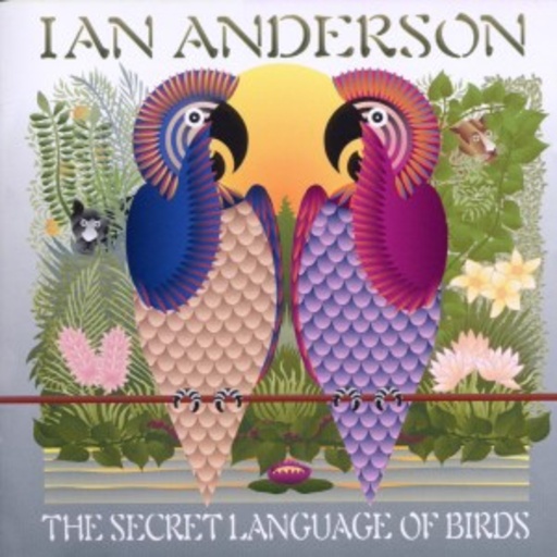 Secret Language Of Birds