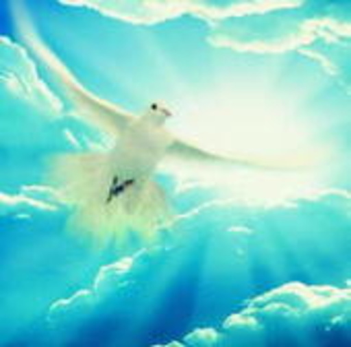 Diverse – Peace - Music For Reflection And Consolation