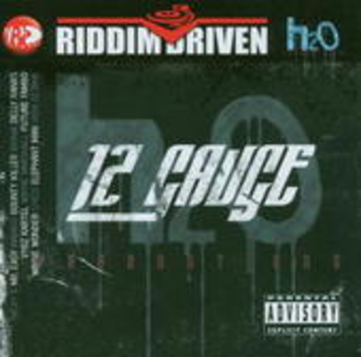 Diverse – 12 Gauge (Riddim Driven)