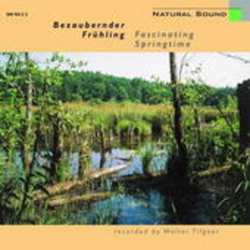 Walter Tilgner – Bezaubernder Frühling