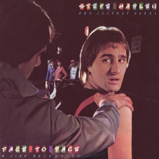 Steve Harley – Face To Face