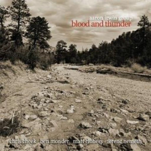 Aaron Irwin – Blood And Thunder