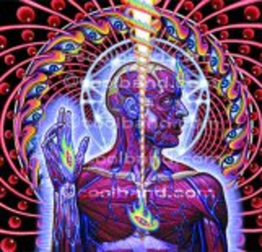 Räumt international ab: "Lateralus" von Tool