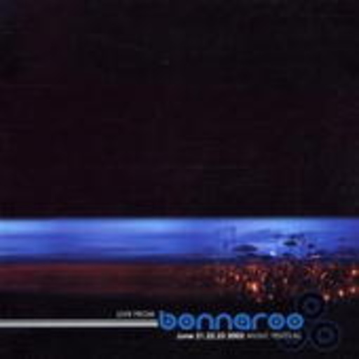 Diverse – Bonnaroo Music Festival 2002