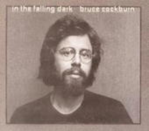 Bruce Cockburn – In The Falling Dark