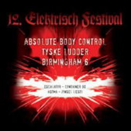 Diverse – 12. Elektrisch Festival