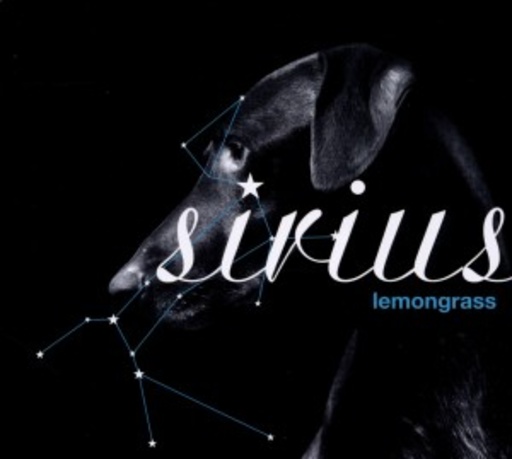 Lemongrass – Sirius