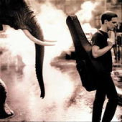 Bryan Adams – On A Day Like Today