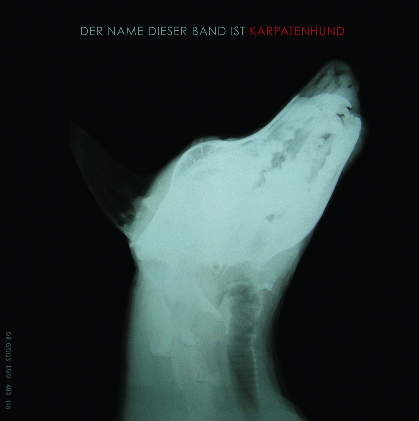 Karpatenhund – Der Name dieser Band ist Karpatenhund