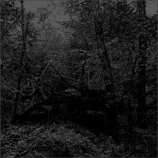 Guapo – Black Oni