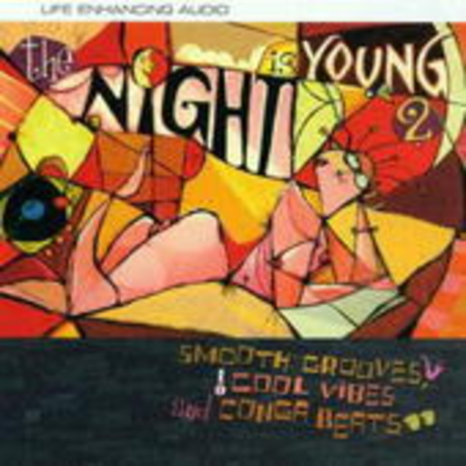 Diverse – The Night Is Young Vol. 2