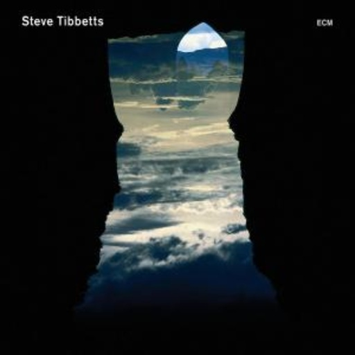 Steve Tibbetts – Natural Causes
