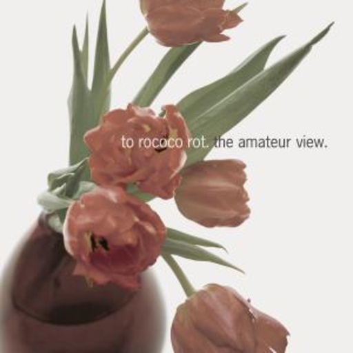 To Rococo Rot – Amateur View