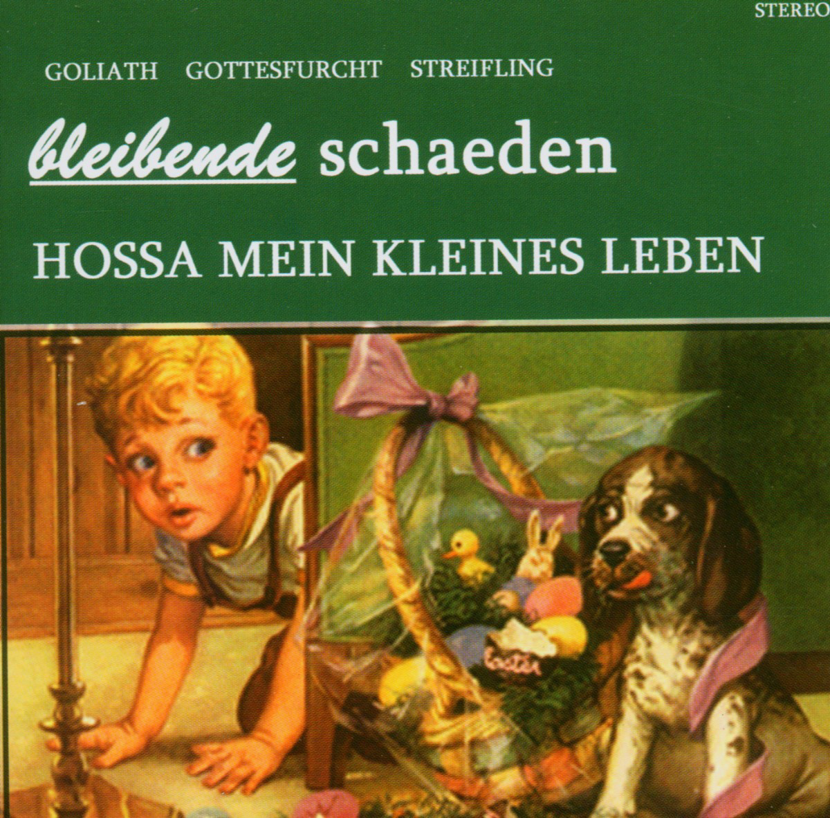 Bleibende Schaeden – Hossa mein kleines Leben