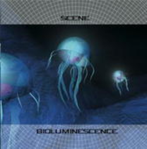Scene – Bioluminescence