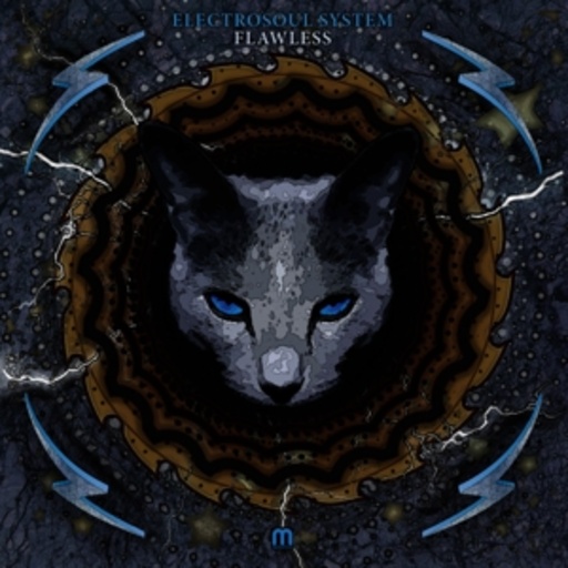 Electrosoul System – Flawless