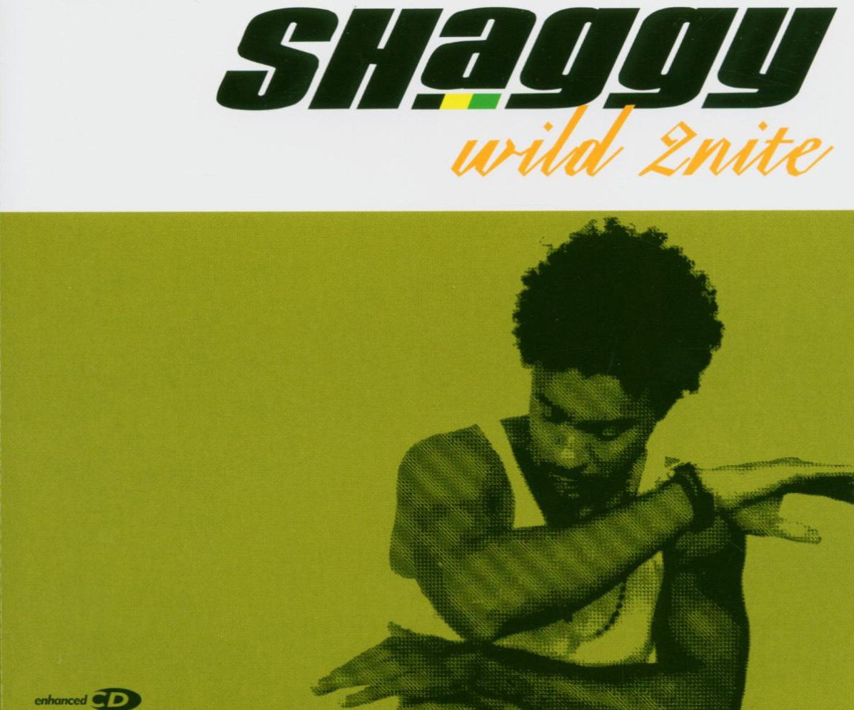 Shaggy – Wild 2nite